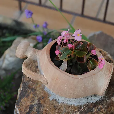 κερκινίτης 3*